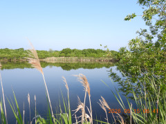 DSCN3881.JPG