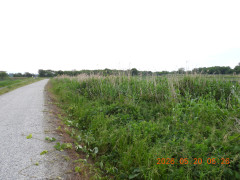 DSCN3902.JPG