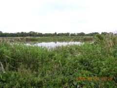 DSCN3903.JPG