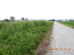 DSCN3904.JPG