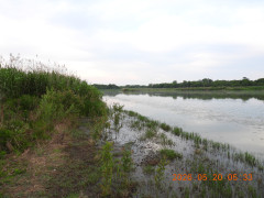 DSCN3905.JPG