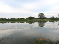 DSCN3906.JPG