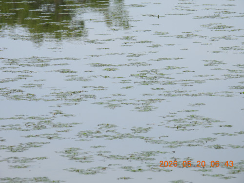 DSCN3961.JPG