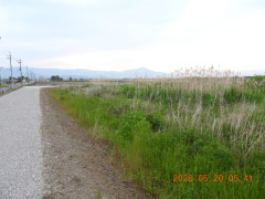 DSCN3912.JPG