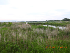 DSCN3914.JPG