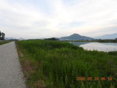 DSCN3917.JPG