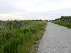 DSCN3919.JPG