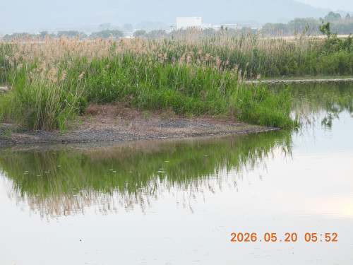 DSCN3921.JPG