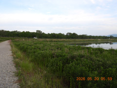 DSCN3925.JPG