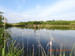 DSCN3933.JPG