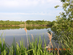 DSCN3934.JPG