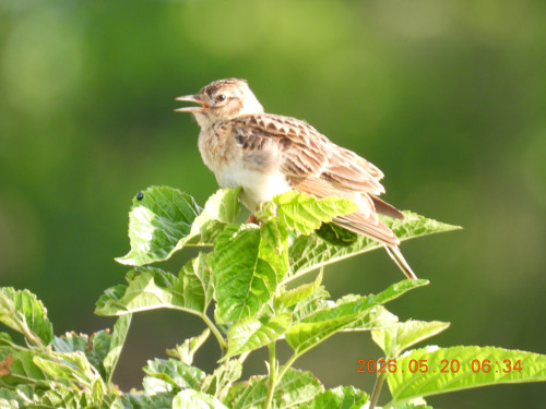 DSCN3954.JPG