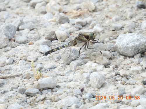 DSCN3965.JPG