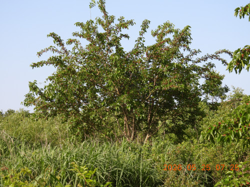DSCN4024.JPG