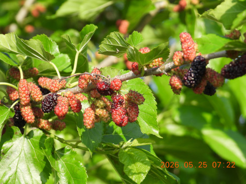DSCN4023.JPG