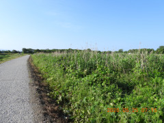 DSCN4020.JPG