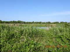 DSCN4021.JPG