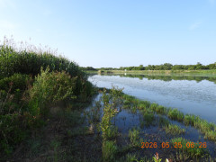 DSCN3992.JPG