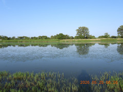 DSCN3993.JPG