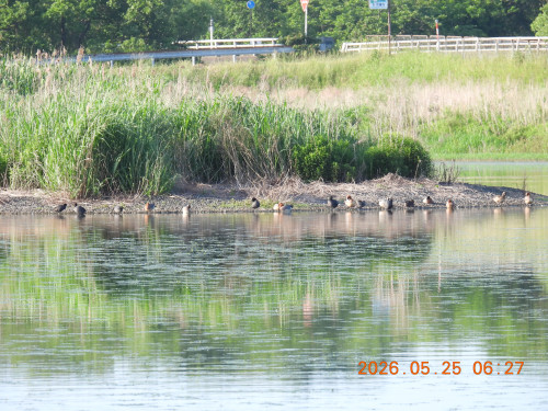 DSCN3997.JPG