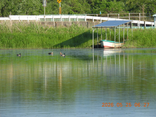 DSCN3996.JPG