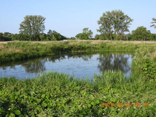 DSCN3991.JPG