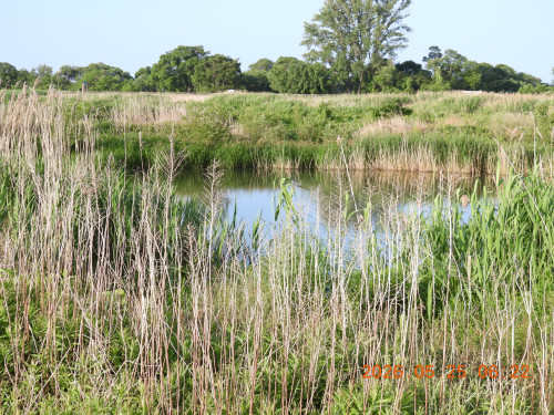 DSCN3990.JPG