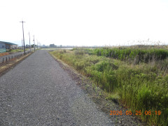 DSCN3987.JPG