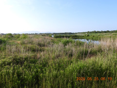 DSCN3988.JPG