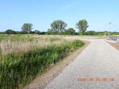 DSCN3989.JPG