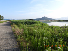 DSCN3975.JPG