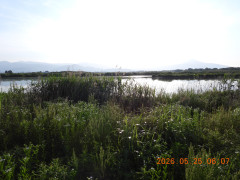 DSCN3976.JPG