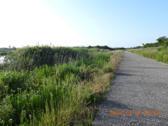 DSCN3977.JPG