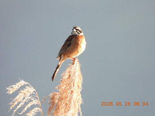 DSCN3974.JPG
