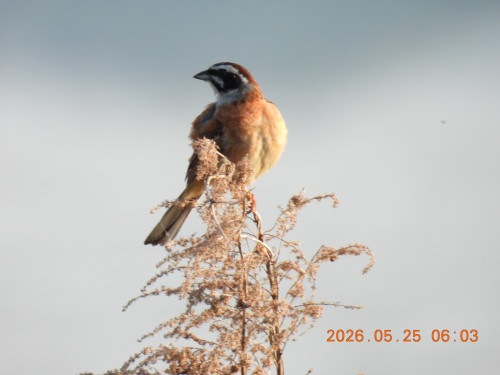 DSCN3972.JPG