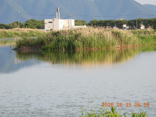 DSCN3971.JPG