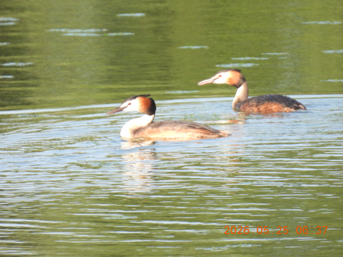 DSCN4004.JPG