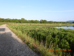 DSCN3968.JPG