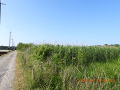 DSCN4013.JPG