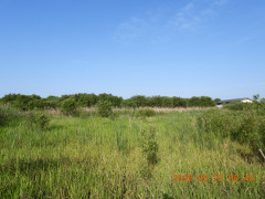 DSCN4014.JPG