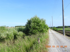 DSCN4015.JPG