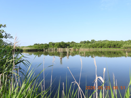 DSCN4016.JPG