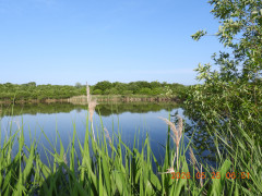 DSCN4017.JPG