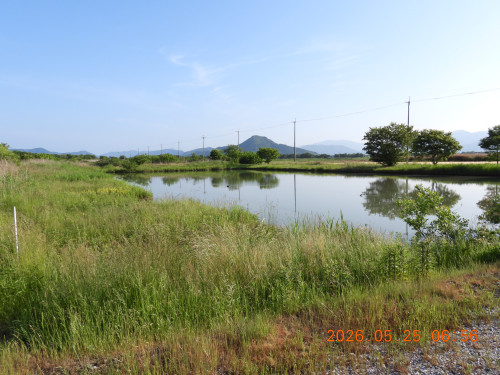 DSCN4019.JPG