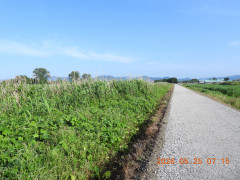 DSCN4022.JPG