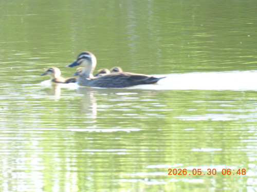 DSCN4071.JPG