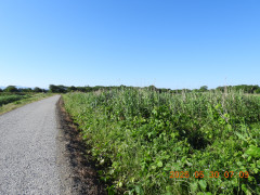 DSCN4088.JPG