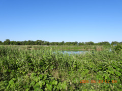 DSCN4089.JPG