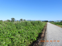 DSCN4090.JPG