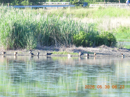 DSCN4046.JPG